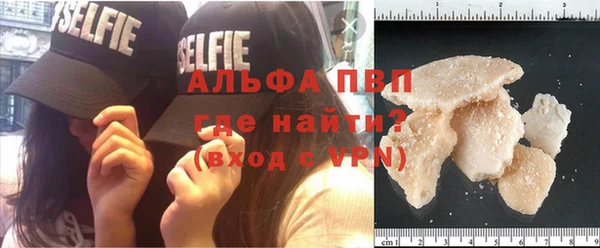 a pvp Аркадак