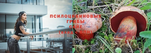 дурь Арсеньев