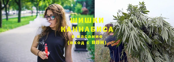 дурь Арсеньев