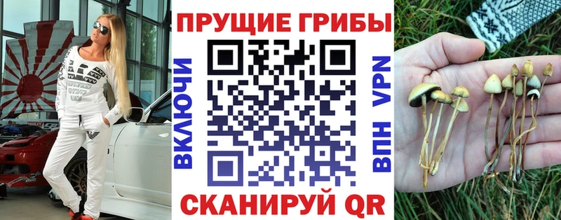Псилоцибиновые грибы мицелий  Суджа 